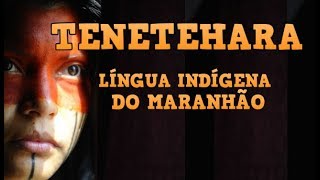 Tenetehara Guajajara  Língua Indígena TupiGuarani do Maranhão [upl. by Ludewig]