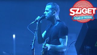 M83  Wait Live  Sziget Festival 2016 [upl. by Nnahsal]