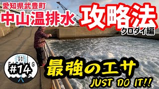 【愛知県武豊町】中山製鋼温排水の攻略法見つけましたよ！ [upl. by Faydra]