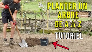 Comment Planter un Arbre [upl. by Slrahc]