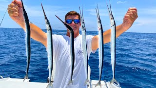 Needlefish Catch Clean Cook Shocking Results [upl. by Katheryn315]