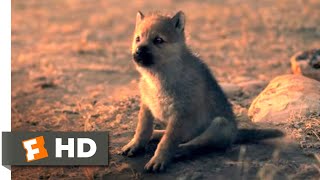 Alpha 2018  Wolf Puppies Scene 1010  Movieclips [upl. by Acyre202]