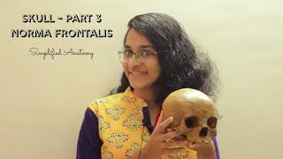 SKULL PART 3  NORMA FRONTALIS  ANATOMY  SIMPLIFIED ✔ [upl. by Kayne260]