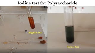 Iodine Test [upl. by Mcnamara]