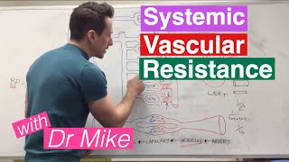 Systemic Vascular Resistance Total Peripheral Resistance  Cardiology [upl. by Akemat]