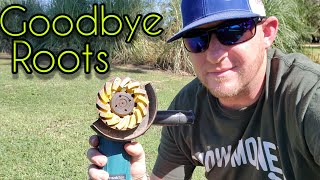 How to remove tree roots in your lawn [upl. by Tallbott54]