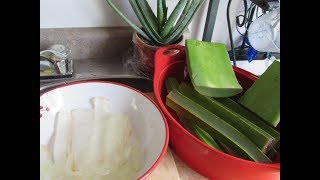 How To Freeze Aloe Vera Gel [upl. by Eninaej]