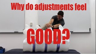 How does a Chiropractic Adjustment Work [upl. by Crary]