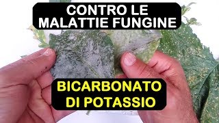 BICARBONATO DI POTASSIO ANTIFUNGINO [upl. by Lustig370]