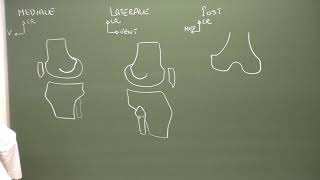 MI 2  Anatomie du genou Knee anatomy [upl. by Eelrihs]