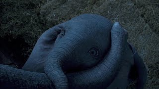 DUMBO Clips  Trailer 2019 Tim Burton [upl. by Smallman]