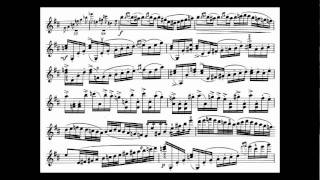 Tsjaikovski PI mvt1 begin violin concerto [upl. by Ahsinan]