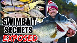 The Swimbait Fishing Secrets I NEVER should have shared [upl. by Fazeli]