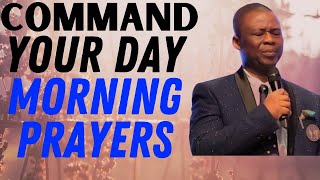 dr dk olukoya  Command Your Day With This Morning Prayers [upl. by Eixid]