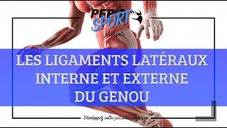 LES LIGAMENTS LATÉRAUX DU GENOU [upl. by Bruis]