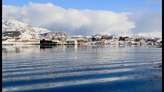 Skreifishing Lofoten  Norway [upl. by Nixon]