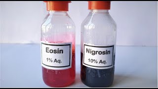 Eosin Nigrosin Stain preparation [upl. by Nah]