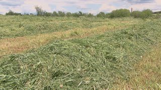 La semaine verte  Cultiver les plantes fourragères [upl. by Jabe]