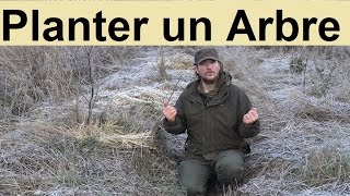 Comment planter un Arbre [upl. by Boykins]