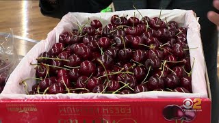 Tip Of The Day Bing Cherries [upl. by Gnourt]