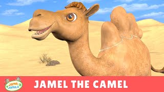 Jamel the Camel  Jamil and Jamila Songs for Kids [upl. by Dewhurst]