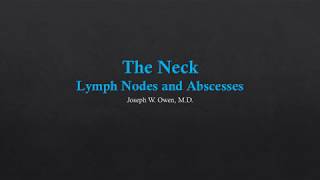 Axillary Vessels and Lymph Nodes  Dr Ahmed Farid [upl. by Arel28]