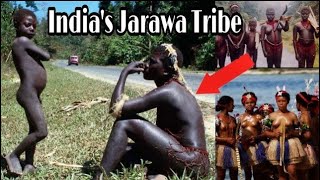 Tribes of Andaman  Jarawa Sentinelese Onge Tribe  Part 1  Dark Ride [upl. by Eugatnom874]