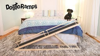 Introducing DoggoRamps  The Small Dog Bed Ramp [upl. by Eile]