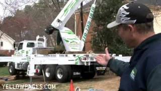 Atlanta Tree Removal Kilmurrys Tree Service [upl. by Kate326]