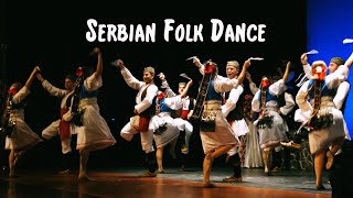 Serbian Folk Dance  The Tamburitzans [upl. by Adela]