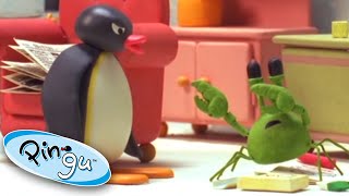 Pingu and the School Pet  Pingu Official  Cartoons for Kids [upl. by Mercer433]