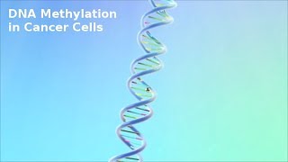 DNA Methylation in Cancer Cells [upl. by Crotty]