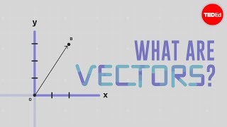 What is a vector  David Huynh [upl. by Bogoch]