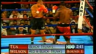 David Tua vs Darroll Wilson 20091996 [upl. by Kallista307]