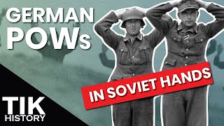 The Debate over German POWs in Soviet Hands WW2 [upl. by Harhay557]