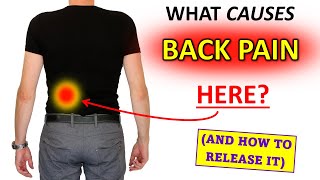 What Causes Lumbar Flank Pain And how to release it [upl. by Gotcher274]