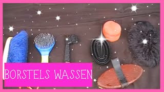 Borstels wassen  PaardenpraatTV [upl. by Ziegler]