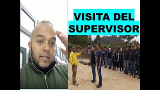 TUTORIAL VISITA SUPERVISOR [upl. by Nos]