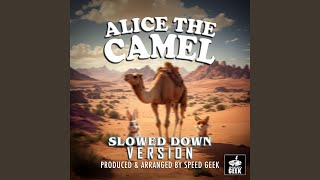 Alice The Camel Slowed Down Version [upl. by Saphra717]