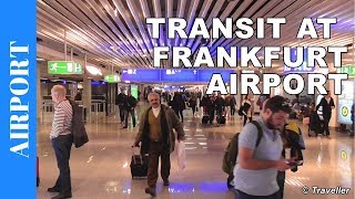 TRANSIT WALK AT FRANKFURT Airport FRA Terminal 1  Connection Flight Transfer Arriving amp Departing [upl. by Hsirehc893]