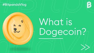 The History of Dogecoin Whats behind the hype of the memecoin [upl. by Baerl]