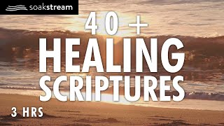 40 Healing Scriptures with Soaking Music looped  Christian Meditation  Soaking Worship  3 HRS [upl. by Heeley171]