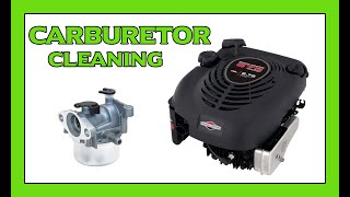 CLEANING A Briggs amp Stratton Quantum Lawnmower Carburetor [upl. by Peterman]