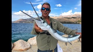 MONSTER NEEDLEFISH Fishing Greece [upl. by Andre]