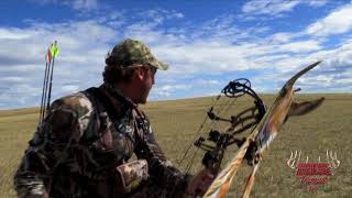 Decoying an Antelope Buck with a Stalker Decoy [upl. by Jacques]